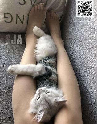 血路狂飙完整版免费观看